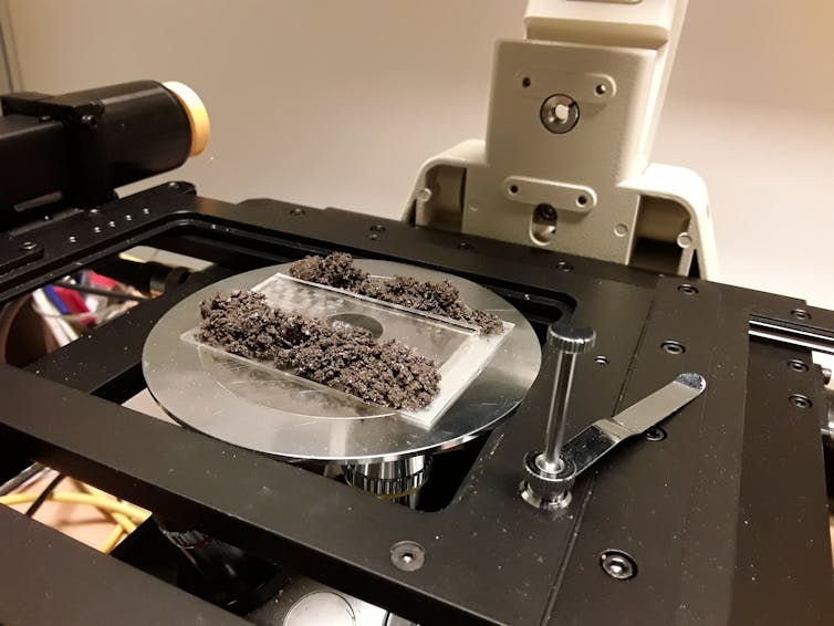 Soil on a chip in the lab