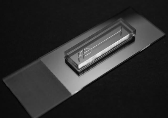 A microfluidic device: a small slide with tiny channels carved in itl
