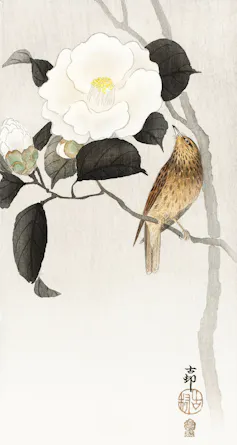 Peinture japonaise montrant un rossignol près d’une fleur de camélia