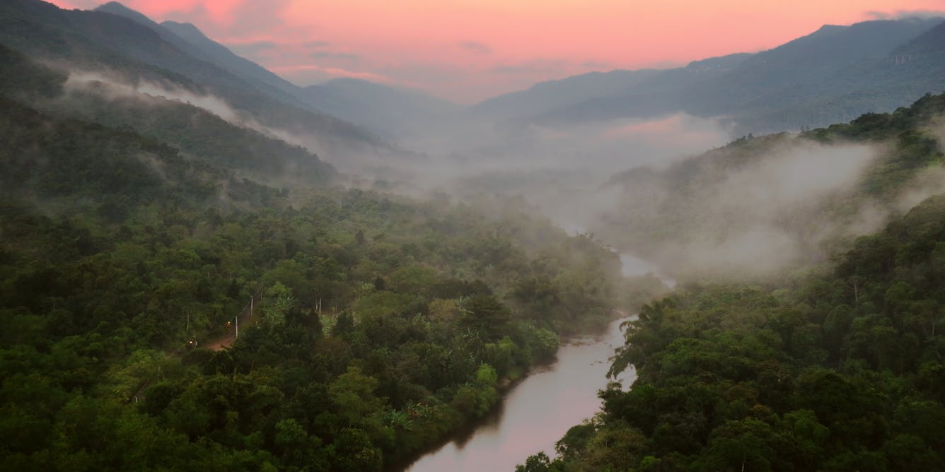 Trans-Brazil trail raises hopes for future of Atlantic Forest