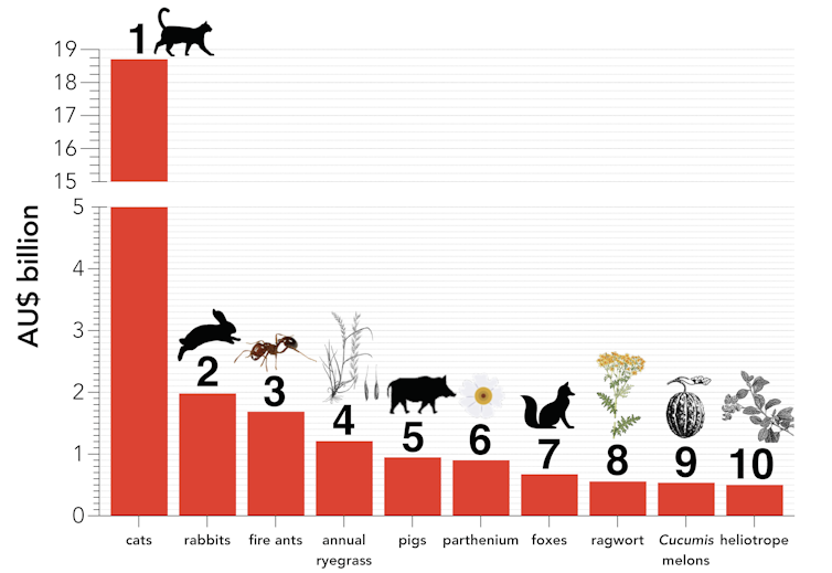 Pest plants and animals cost Australia around $25 billion a year – and it will get worse