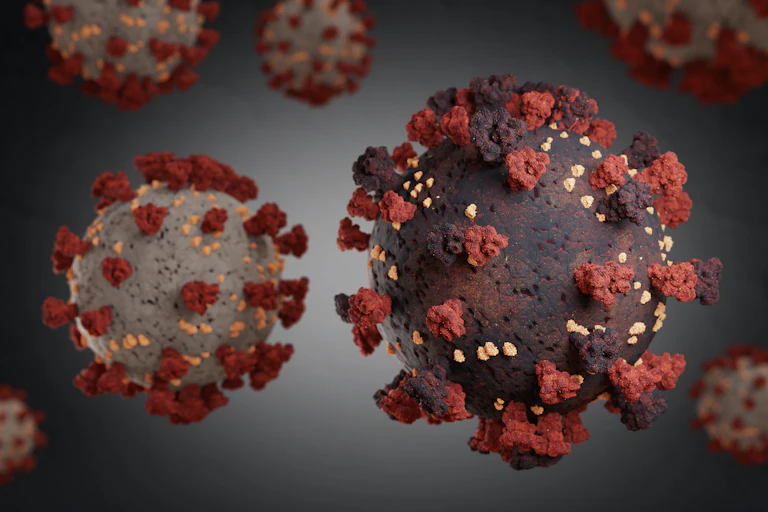 Représentation en 3D du coronavirus SARS-CoV-2