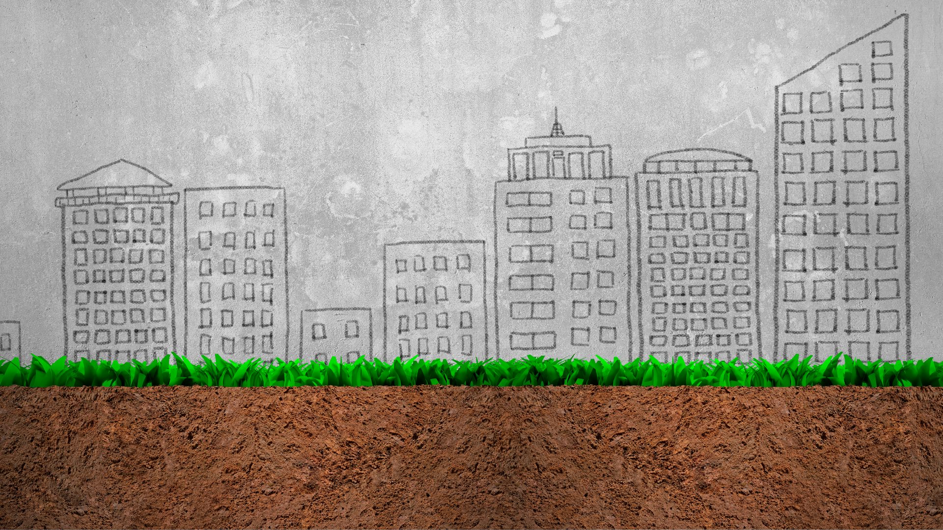 Comment prendre soin du sol et de la terre pour favoriser le verdissement en ville