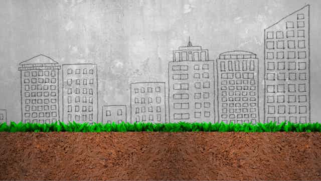 une illustration représente les trois couches, sol, plante et milieu urbain.