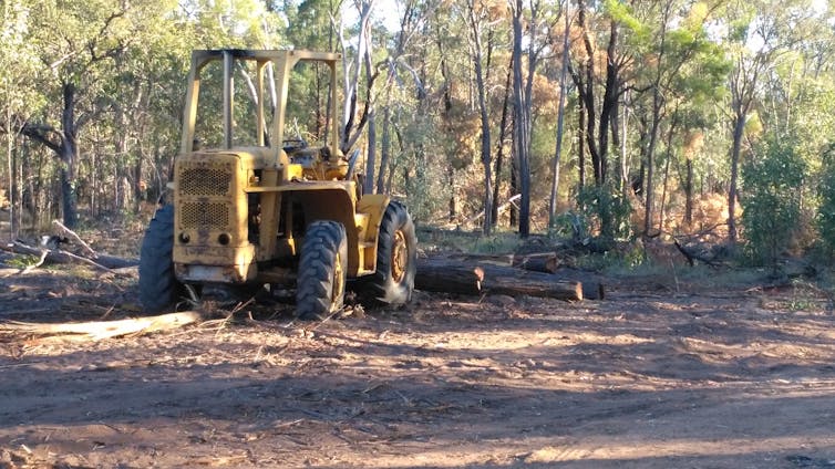 since they were listed as 'vulnerable' we’ve destroyed more of their habitat