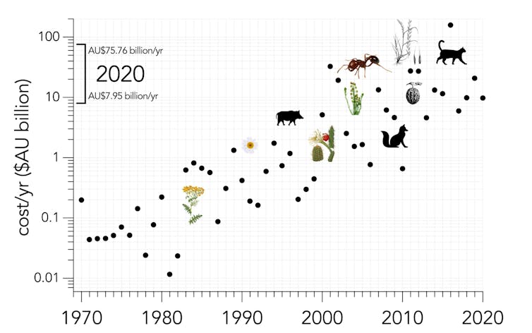 Pest plants and animals cost Australia around $25 billion a year – and it will get worse