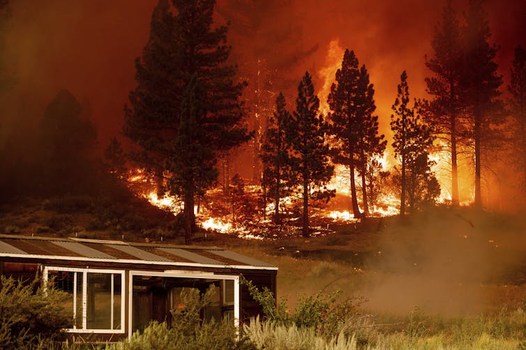 A greenhouse surrounded by dry brush with fire in the forest on the hill behind it