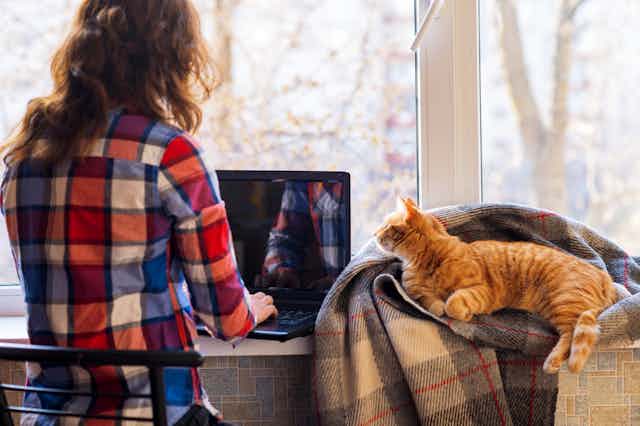Young woman working on a laptop next to the window with a cat sitting beside her