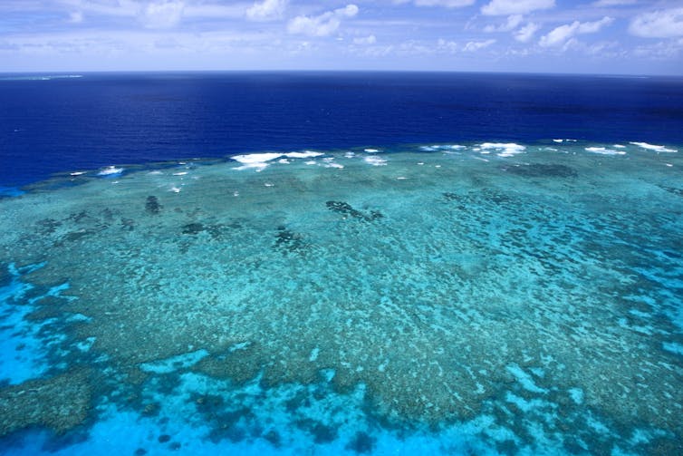 Aerial photo of part of the reef