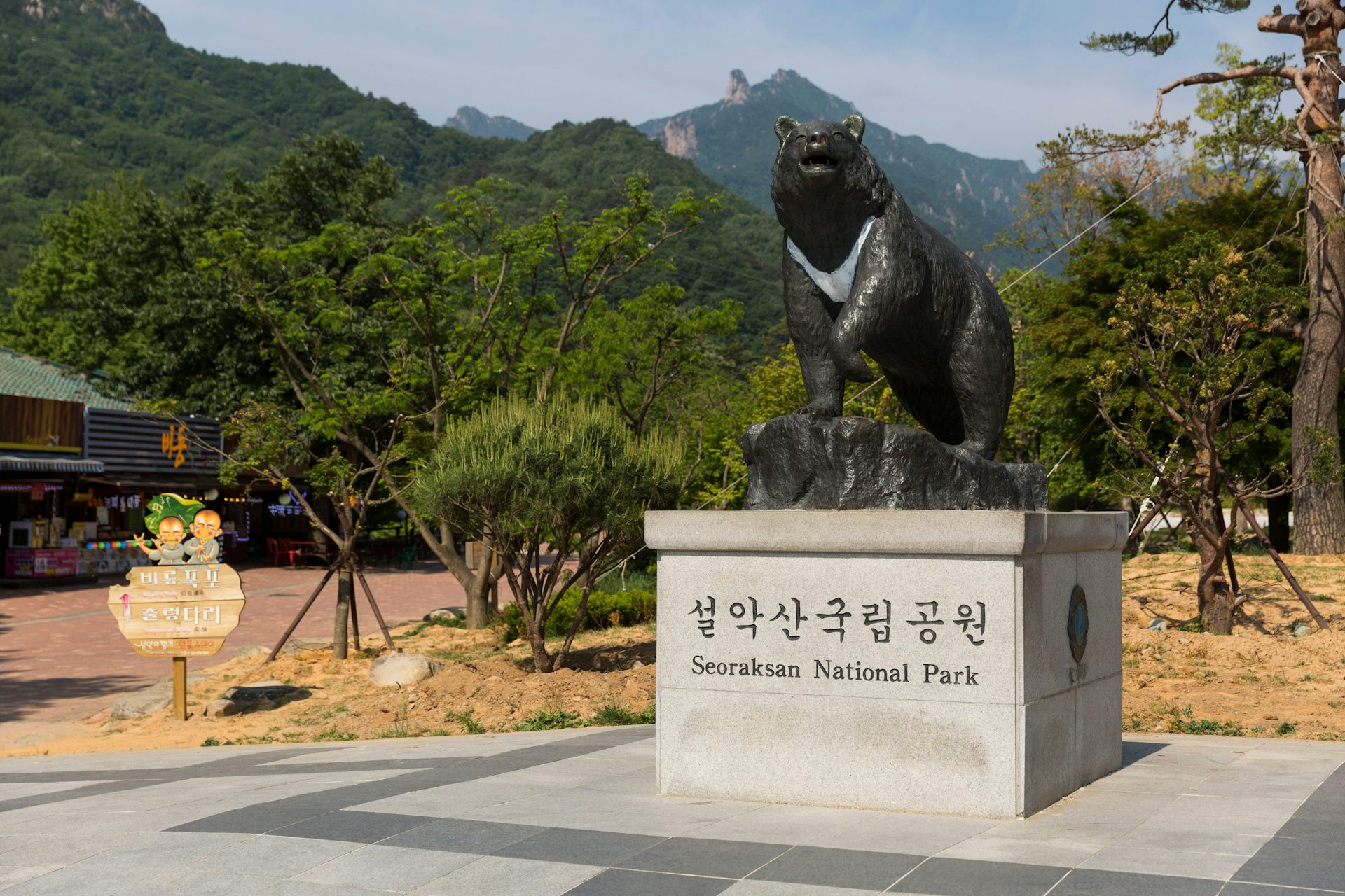 South Korea is bringing back bears in a country of 52 million people