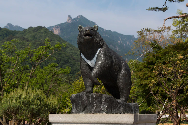 A statue of a black bear outside a South Korean national park.