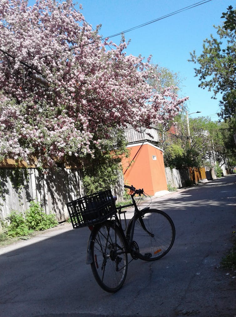 Une bicyclette garée au milieu d’une ruelle