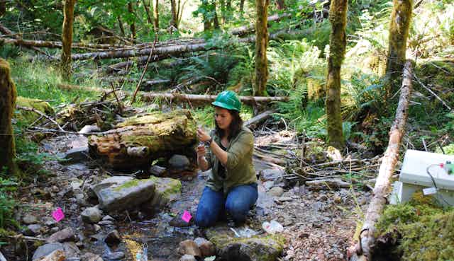 A female scientist takes samples from a stream.