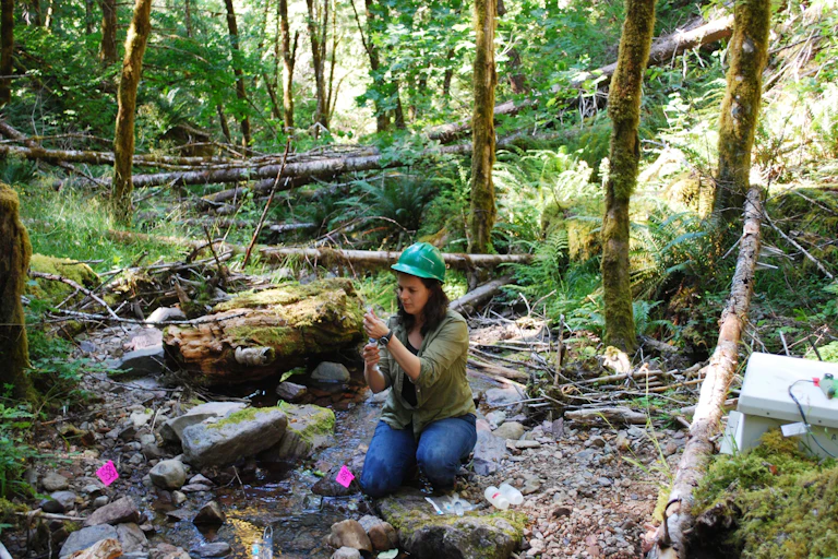 A female scientist takes samples from a stream.