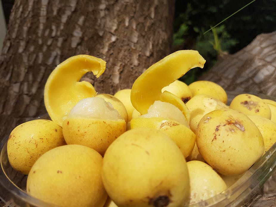 A basket of yellow fruit, about the size of a guava. Two are partly peeled, revealing a fleshy pale fruit