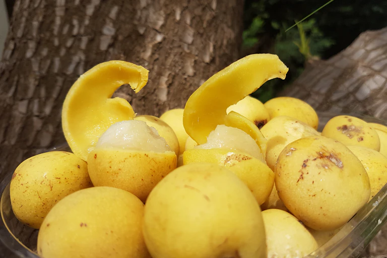 A basket of yellow fruit, about the size of a guava. Two are partly peeled, revealing a fleshy pale fruit