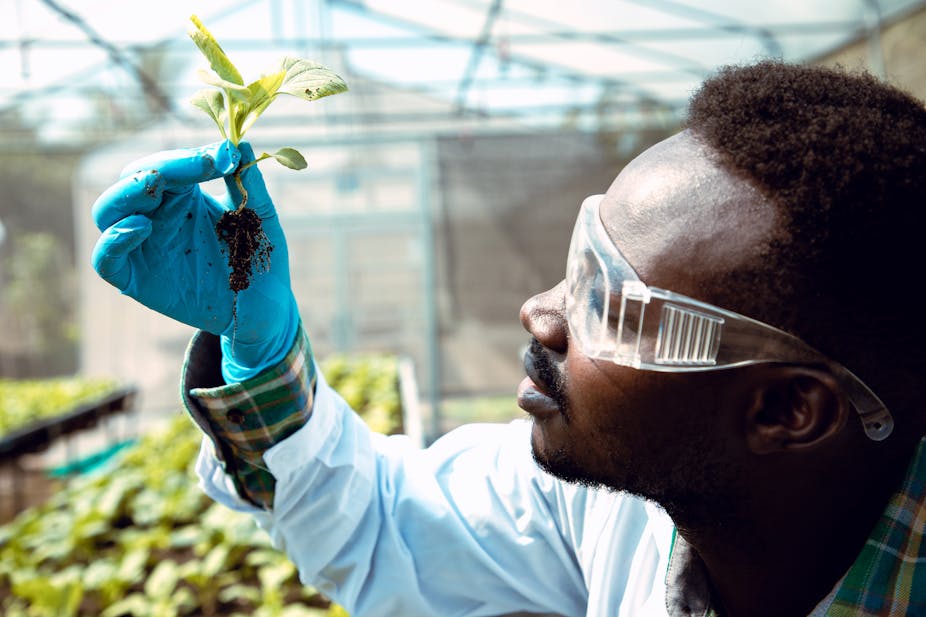 A man with laboratory goggles and a white coat is peering at a plant that he's holding in a blue-gloved hand. There are more plants out of focus in the background.