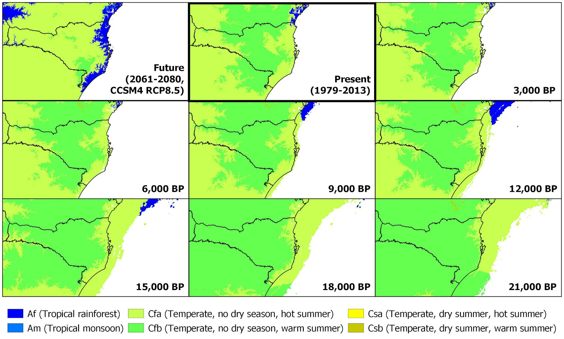 Brazil S Atlantic Forest Will Change More In The Next 50 Years Than At   File 20210728 23 5u2bwp 