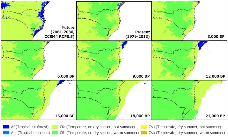 Nine different maps of southern Brazil showing ecological changes over time.