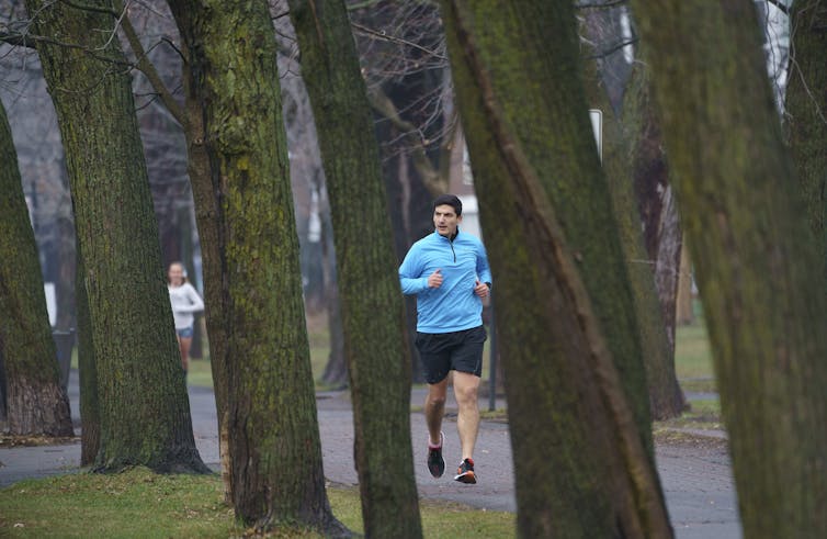 People running on a tree-lined path