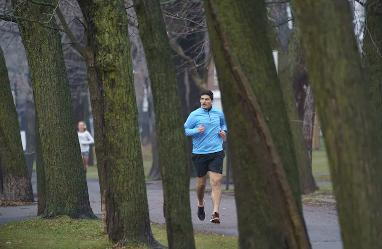 People running on a tree-lined path