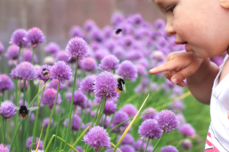 Little child points a finger at a bumblebee on a flower.