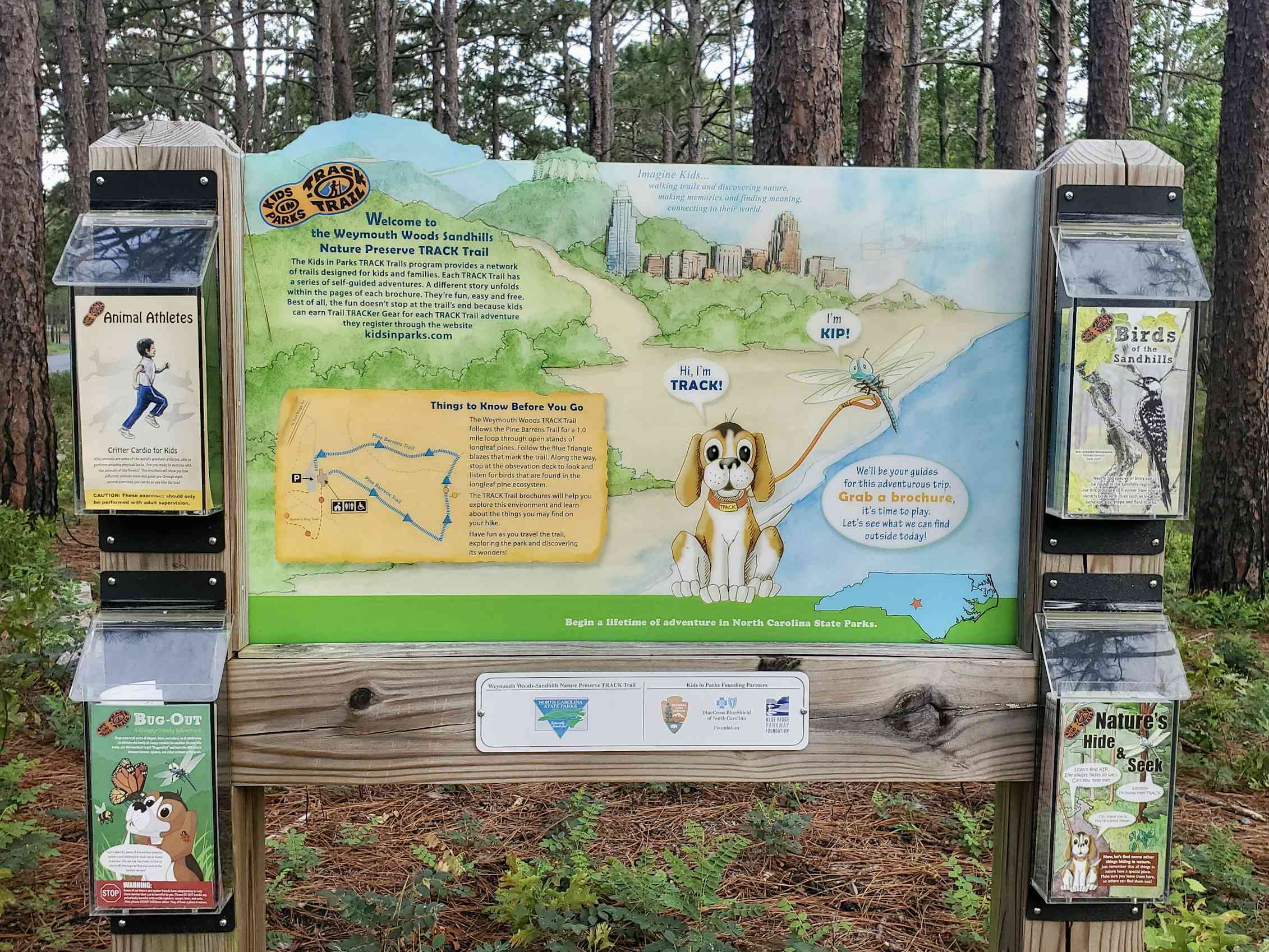 A TRACK Trail display in a wooded area