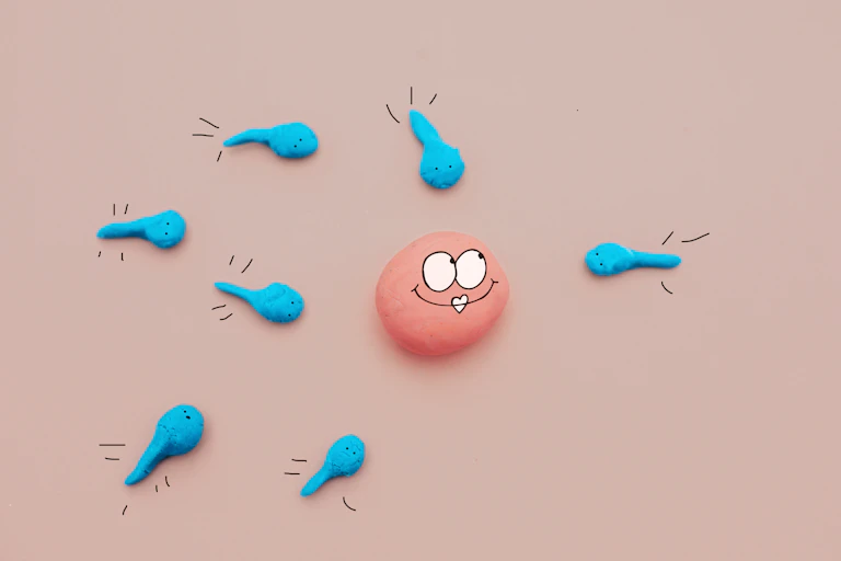 A clay representation of sperm swimming towards an egg.