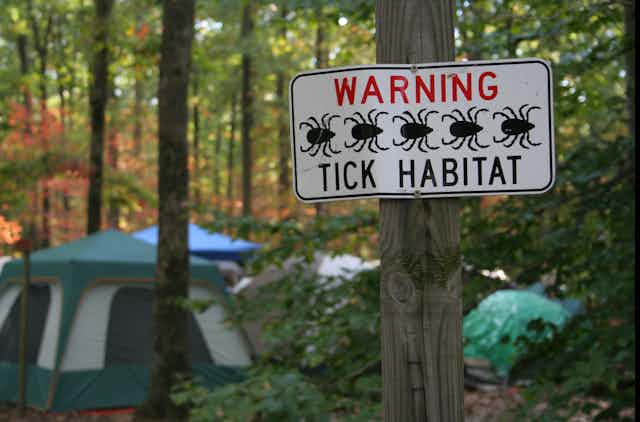 A sign at a campground in the woods that says "Warning: Tick Habitat" with an illustration of ticks. There are tents in the background.