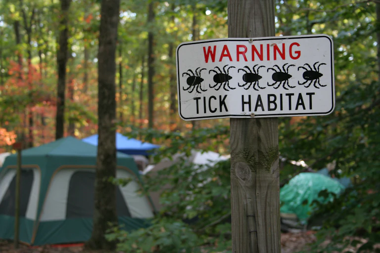 A sign at a campground in the woods that says "Warning: Tick Habitat" with an illustration of ticks. There are tents in the background.