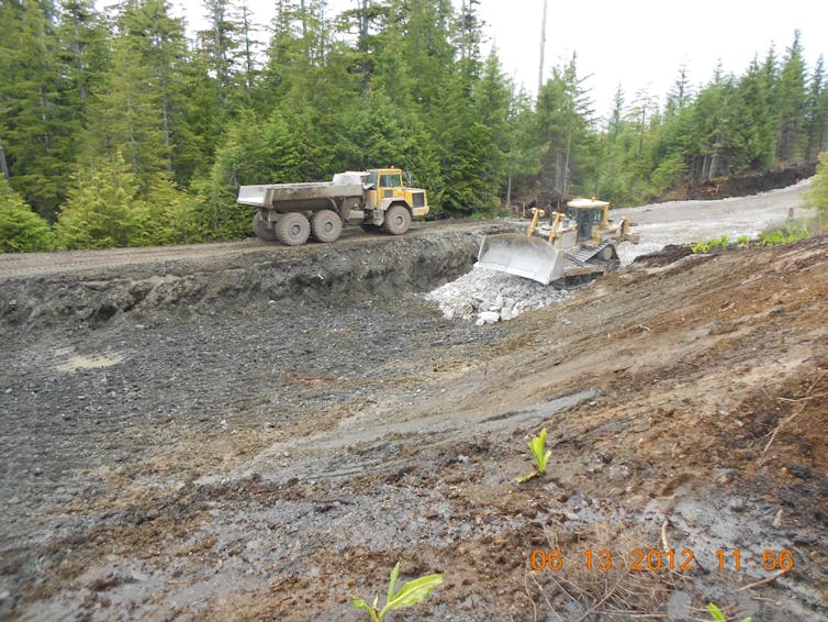 Bulldozers grade land next to a gravel logging road.