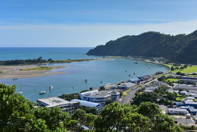 Whakatane township with harbour