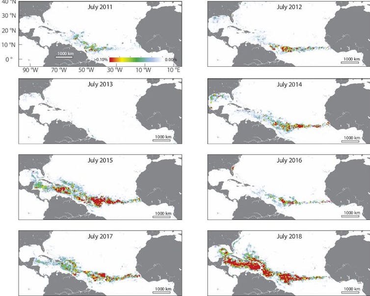 Maps showing sargassum belt across the Atlantic.