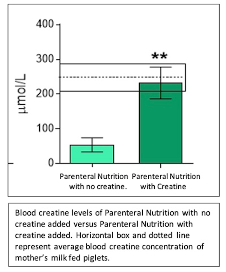 Bar graph comparing parenteral nutrition with and without creatine, and showing levels achieved with mothers' milk.