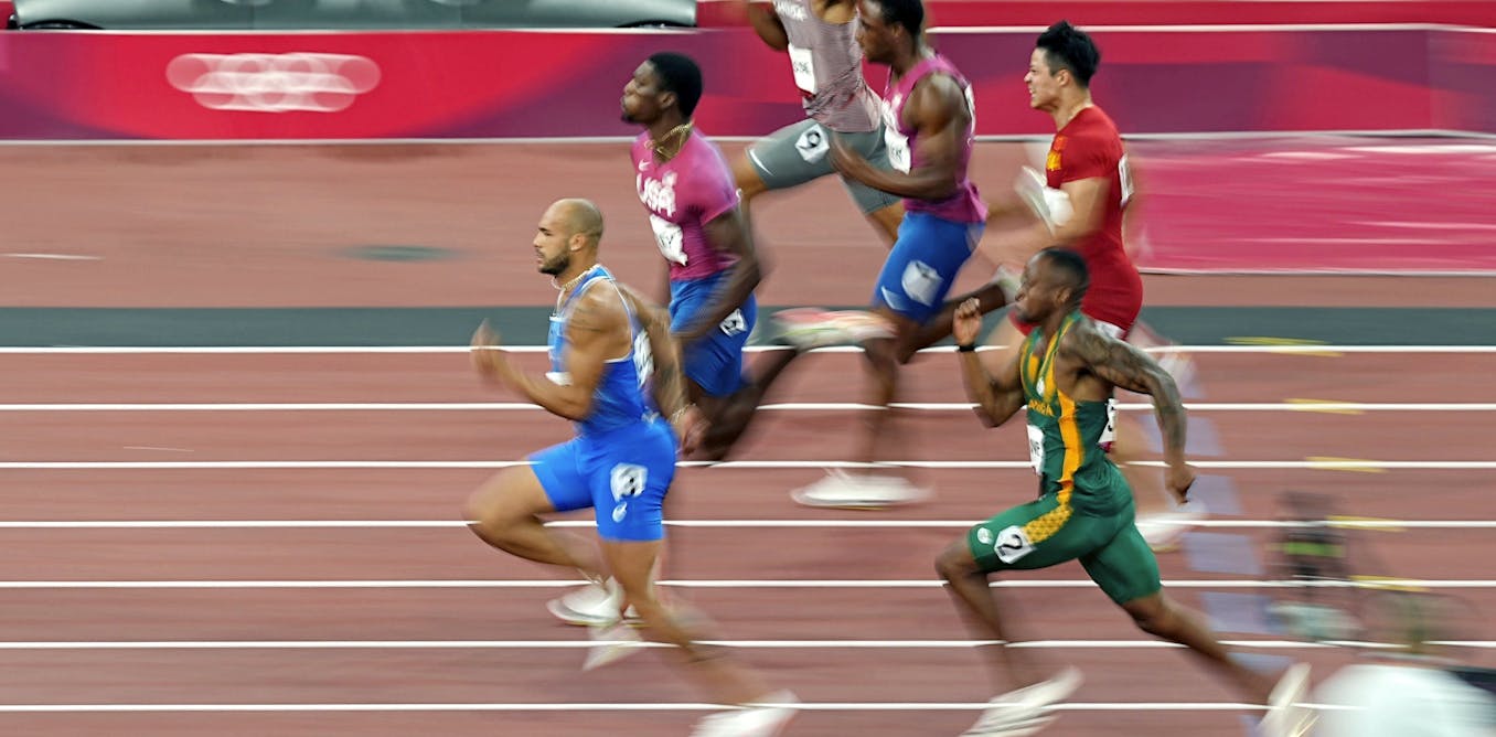 Muscles are important, but stiff tendons are the secret ingredient for ...