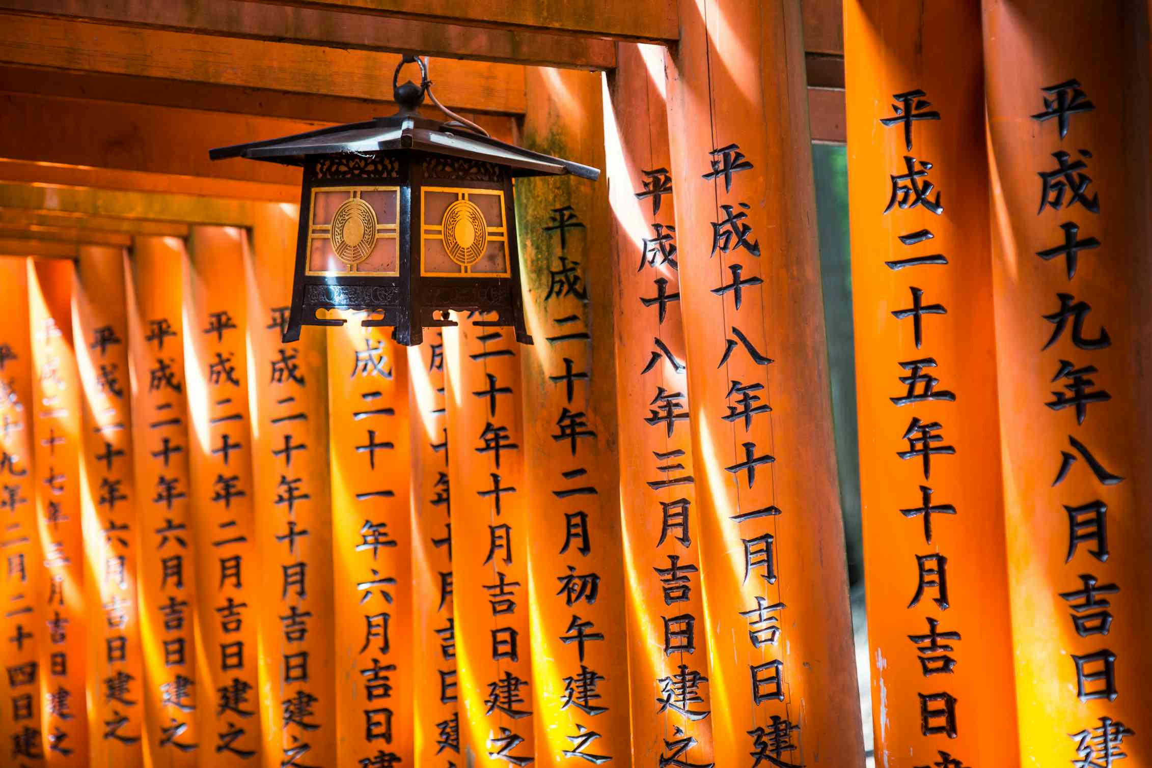 Lantern hanging at Fushimi Inari Shrine in Kyoto, Japan