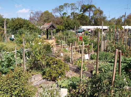 3 ways community gardens often exclude migrants and refugees — and how to turn this around