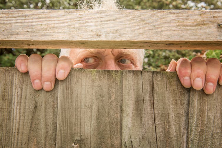 Image of a man spying on neighbour across a fence.