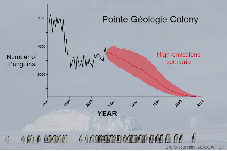 Chart with red line going from high at left to very low at right.