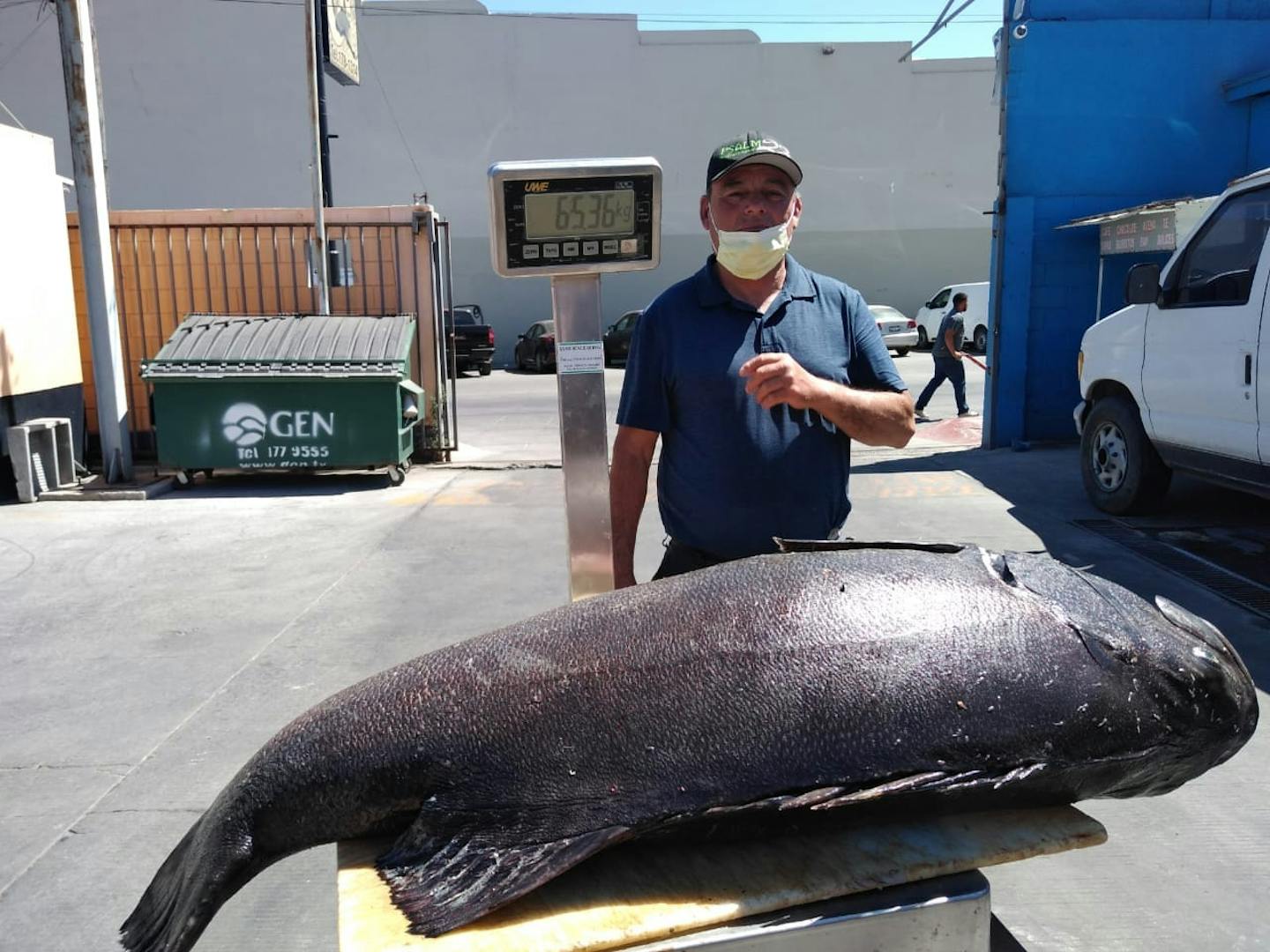 A man standing behind a very large black fish on the scales.