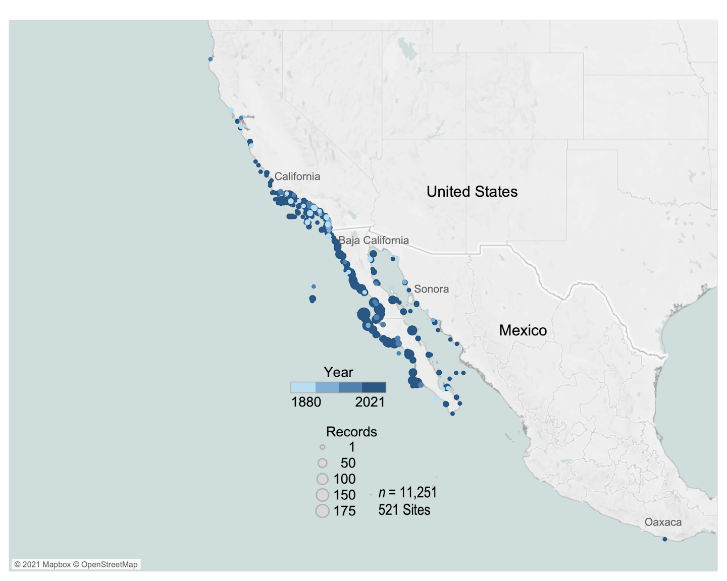 A map showing high density of giant sea bass along the west coast of the U.S. and along both sides of the Baja Peninsula.