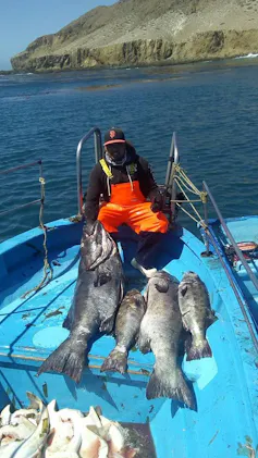 A man in orange overalls on a small blue boat sitting behind four large black fish on the deck.