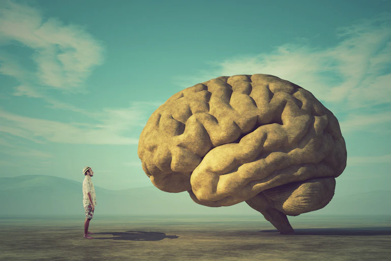 The young and conceptual image of a large stone in the shape of the human brain