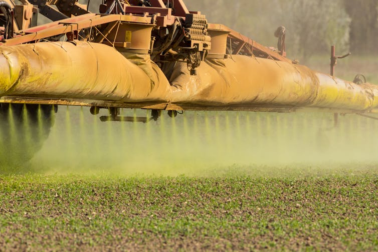 A close-up view of a trailer spraying crop seedlings with a chemical treatment.