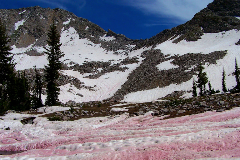 Snowy mountains with a covering of pink-shaded snow