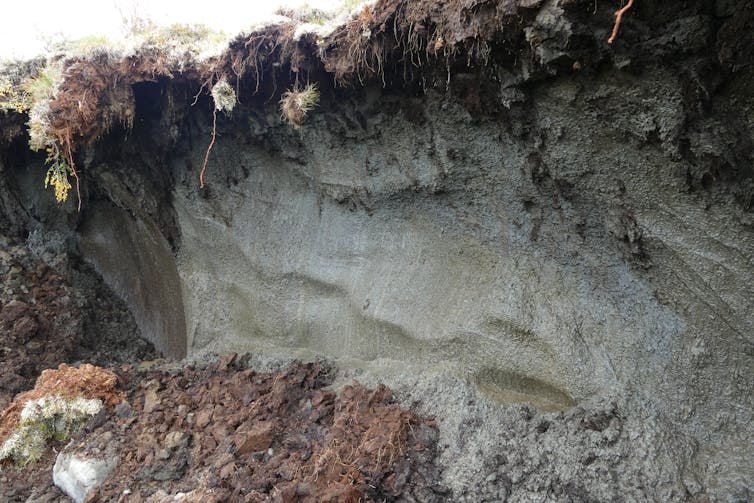 Close-up of frozen soil