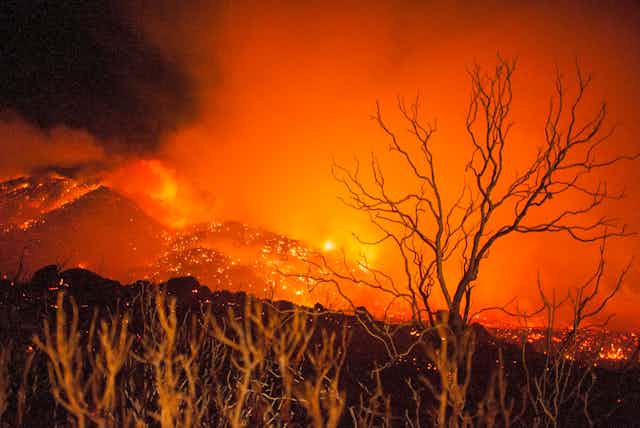 Целый горный склон в Калифорнии охвачен лесными пожарами.