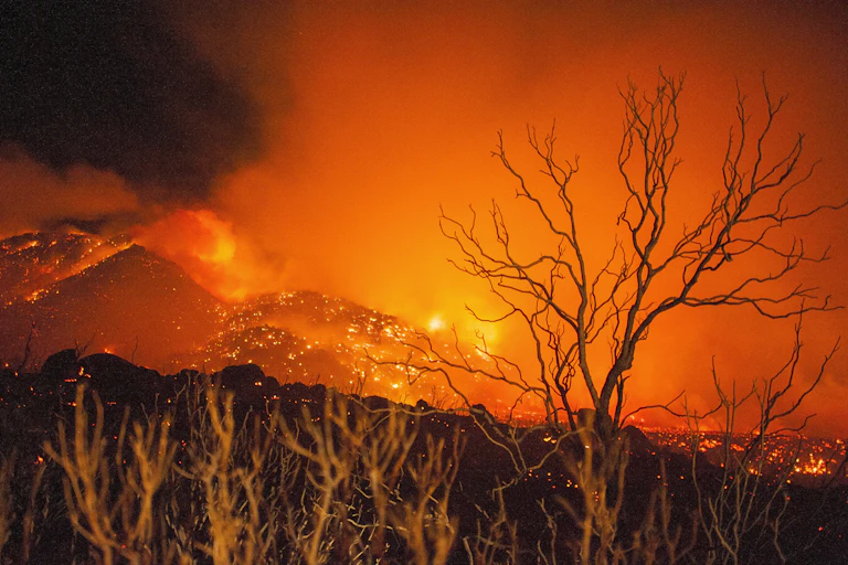 A whole mountainside in California ablaze with wild fires.