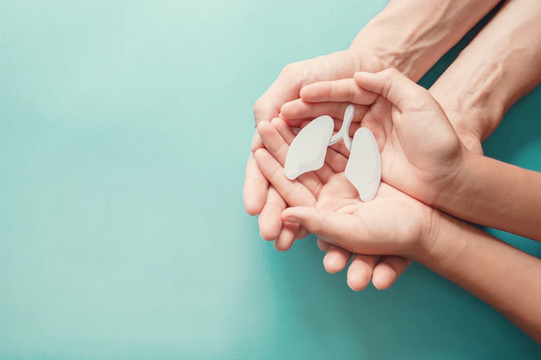 Two pairs of hands cradling model of lungs