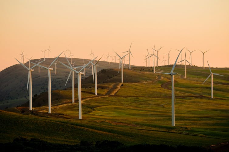 Wind turbines in the field